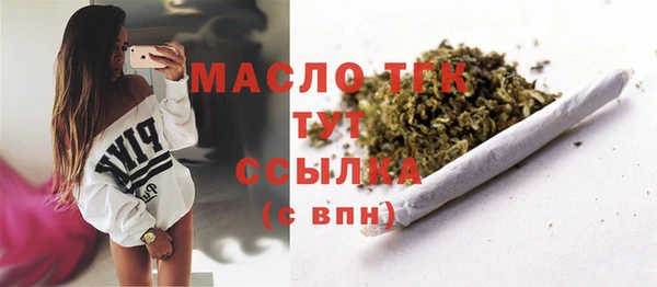 крисы Надым