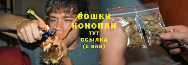 крисы Надым