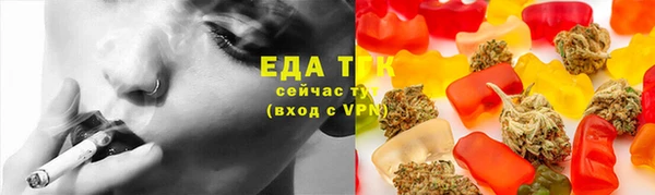 крисы Надым