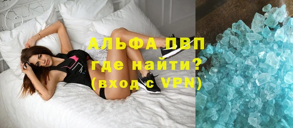 крисы Надым