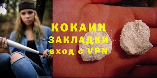 крисы Надым