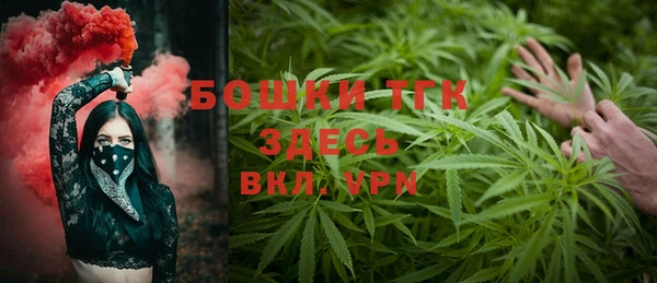 крисы Надым