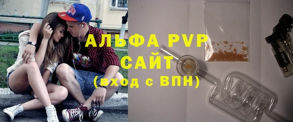 крисы Надым